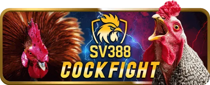 Quy trình rút tiền thắng cược tại 98vin win